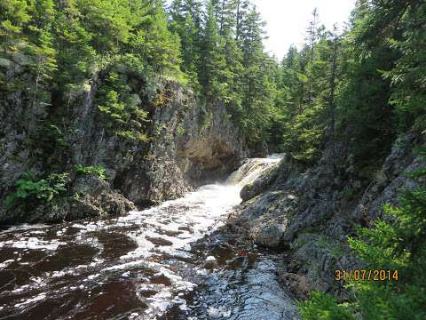 Pocologan Chute